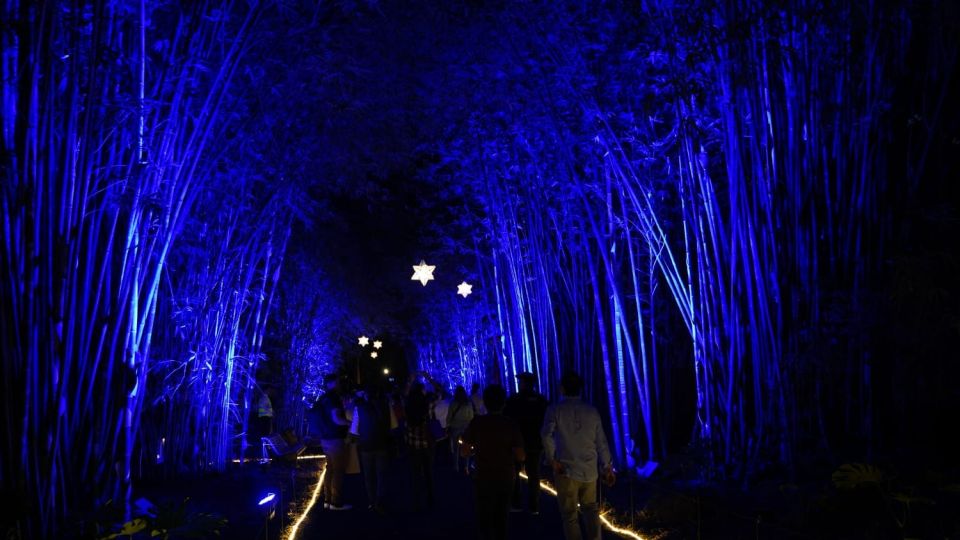 Invitan a vivir la "Navidad en el Botánico" y disfrutar de las luces en el Jardín