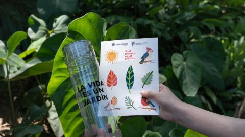 En el Jardín Botánico de Culiacán puedes encontrar el detalle ideal para este 14 de febrero