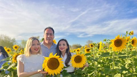 Ya puedes visitar el campo de girasoles en el Pueblo Mágico de Mocorito