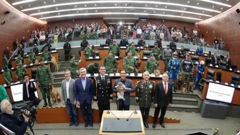 Para celebrar el Día del Perro, entrega Senado reconocimientos a binomios caninos