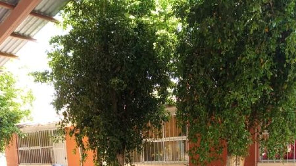 Fomentan la inteligencia emocional con campamento infantil en La Reforma