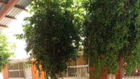 Fomentan la inteligencia emocional con campamento infantil en La Reforma