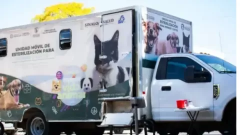 Realizan campaña gratuita de esterilización para perros y gatos en Culiacán