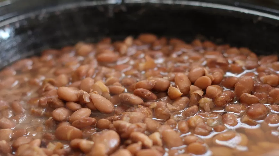 Conoce los beneficios del frijol e infórmate sobre precios mínimos y máximos