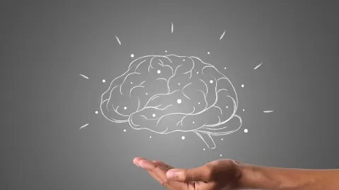 IMSS comparte recomendaciones para mantener un cerebro sano