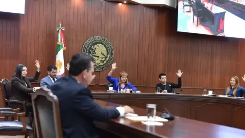 Avanza en el Congreso de Sinaloa iniciativa que busca sancionar actividad de “halconeo”