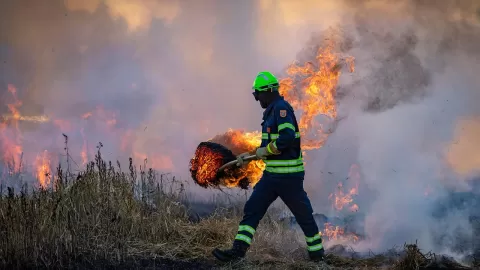 Crean 2 brigadas más contra incendios forestales en Sinaloa