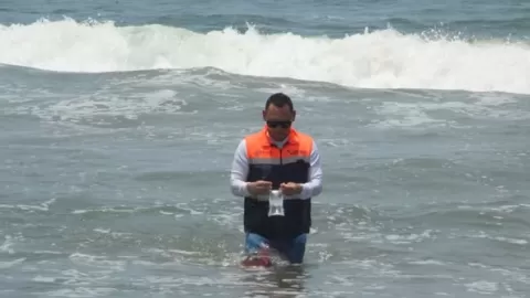 Las 22 playas turísticas de Sinaloa fueron dictaminadas como seguras para los bañistas en esta Semana Santa 2025