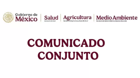 Secretaría de Salud informó la defunción del primer caso humano de influenza aviar A (H5N1)