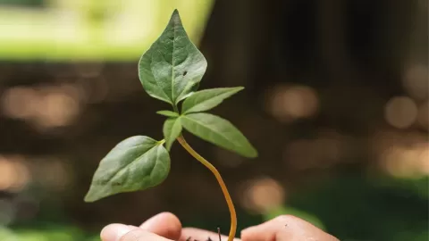 Jardín Botánico Culiacán prepara actividades para que las niñas y los niños disfruten la Semana de Pascua