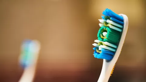 Profeco te orienta para elegir el cepillo dental adecuado para ti entre 21 modelos