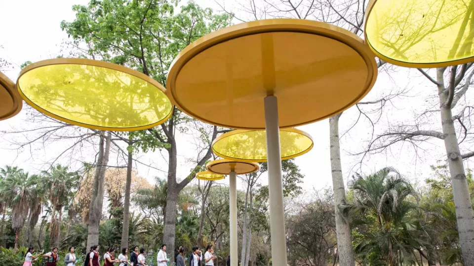 Disfruta de la colección de arte contemporáneo del Jardín Botánico de Culiacán