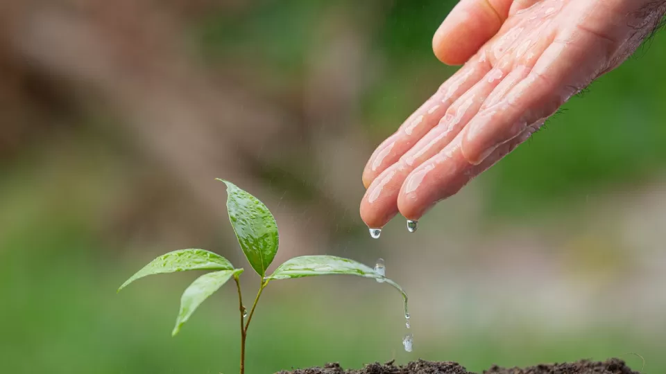 Jardín Botánico de Culiacán te invita a participar en el Día Mundial de la Tierra