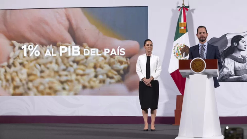 Grupo Modelo invertirá 3 mil 600 mdd entre 2025-2027 como parte del Plan México