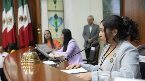 Parlamento Juvenil “7 de Abril” 2025 establece su agenda legislativa con la conformación de cinco Comisiones Permanentes