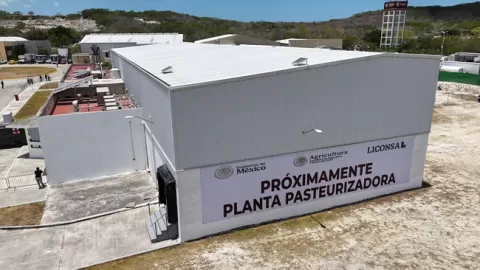 En Campeche, Sheinbaum pone en marcha Leche para el Bienestar