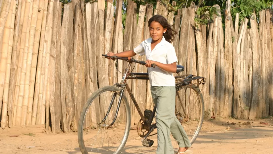 La Escuela, y no el narco, es el único y auténtico nivelador social
