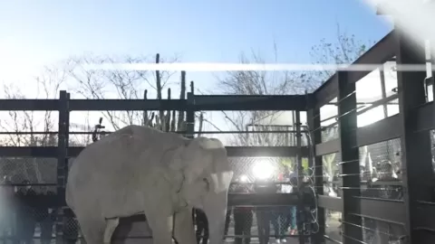 Bioparc Mazatlán se convertirá en el santuario de vida silvestre más importante de Latinoamérica