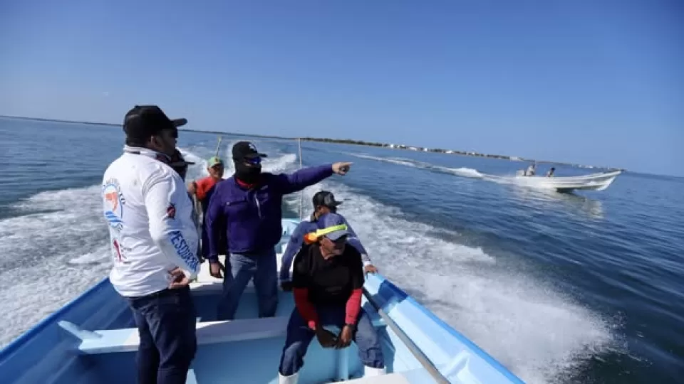 Implementan el Programa de Inspección y Vigilancia para combatir la pesca furtiva y proteger el ecosistema marino