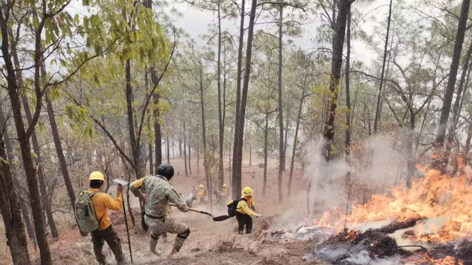 Incendio en Concordia está controlado; en Badiraguato continúan los trabajos para contenerlo