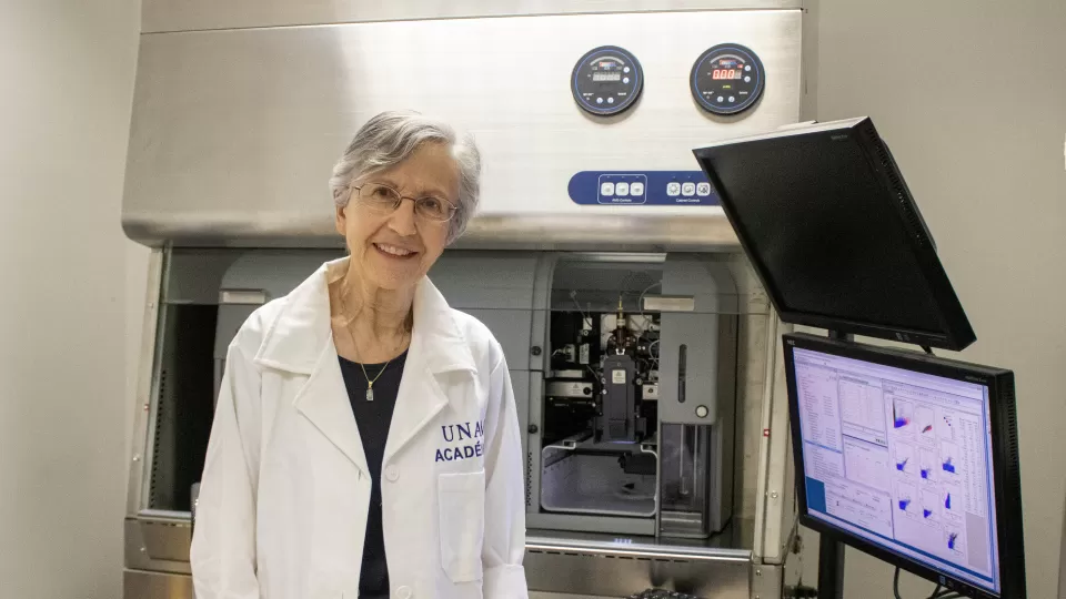 Buscan en ranas moléculas para generar medicamentos y combatir enfermedades inflamatorias e infecciosas