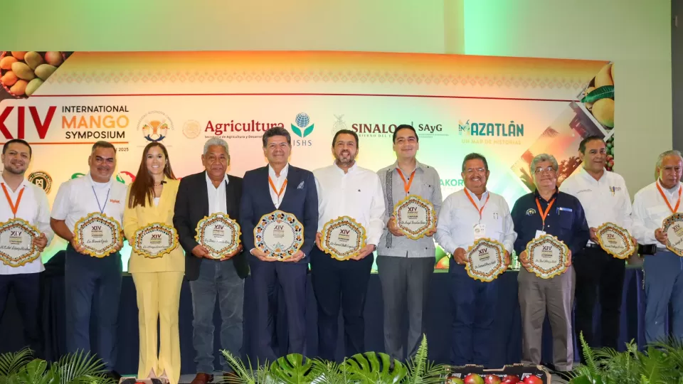 México ocupa el quinto lugar como productor de mango a nivel mundial