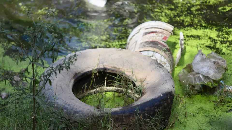 Ante la temporada de lluvias, piden a la población limpiar sus patios y azoteas para evitar casos de dengue