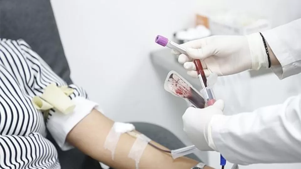 Hoy se conmemora el Día Mundial del Donante de Sangre; un acto de generosidad que salva vidas