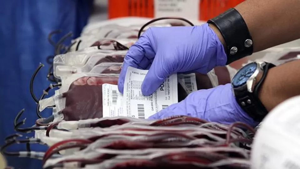 Hoy se conmemora el Día Mundial del Donante de Sangre; un acto de generosidad que salva vidas