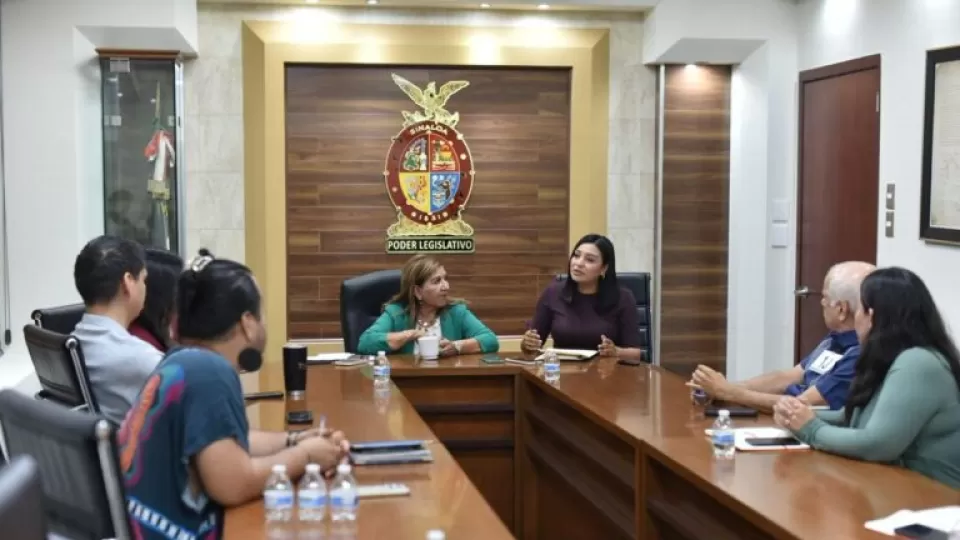 Desechan iniciativas de Violencia Digital y de Violencia Política en Razón de Género. Crean consenso para generar nuevas