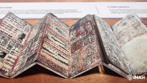 Foto: Guillermo Campos.