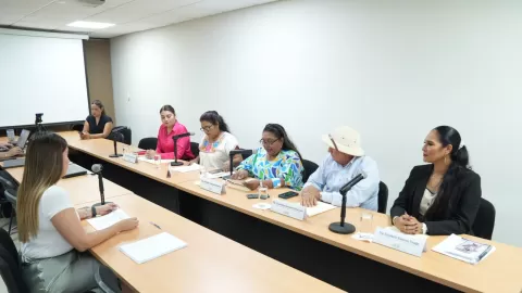 Comisión analiza iniciativa sobre protección de centros ceremoniales y educación plurilingüe de pueblos originarios