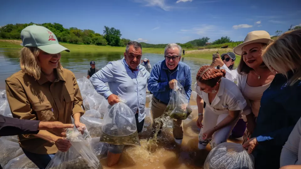 Fortalecen en Sinaloa pesca comercial y deportiva con 24.5 millones de alevines