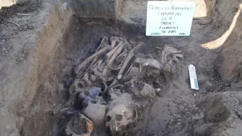 Foto: Rodrigo Vivero.