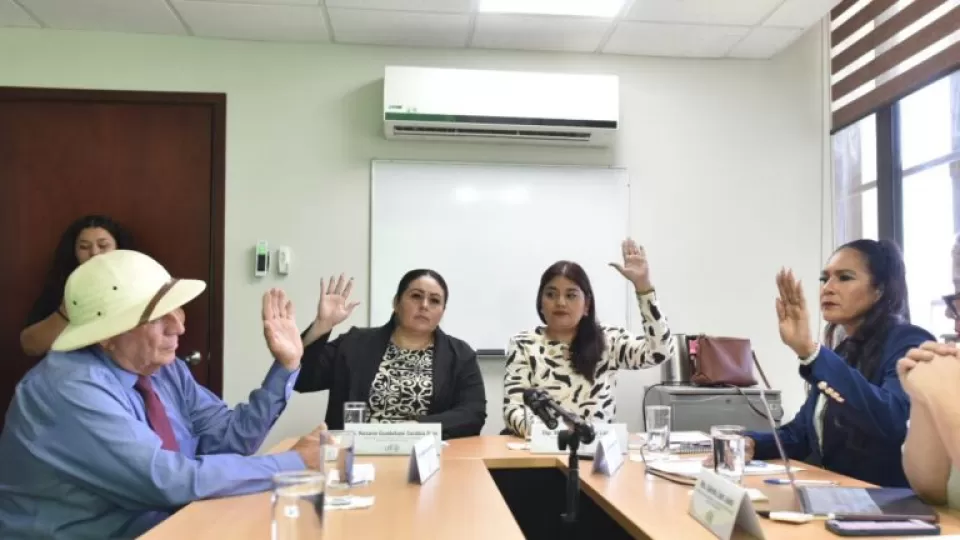 En Comisión, aprueban dictamen que propone licencia especial para padres de niños y adolescentes con enfermedades graves