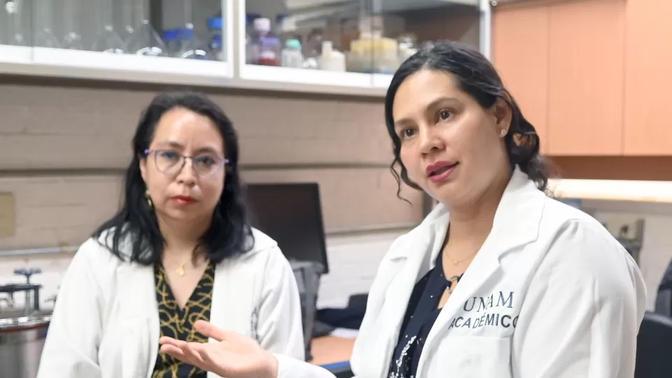 Vinculan compuesto químico que se utiliza en la fabricación de plásticos al cáncer de mama