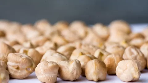 La comercialización del garbanzo se logró con éxito en los mercados de Arabia Saudita