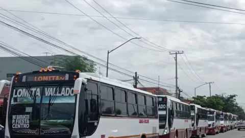 Invitan a estudiantes a reactivar u obtener tarjeta inteligente de descuento en el transporte