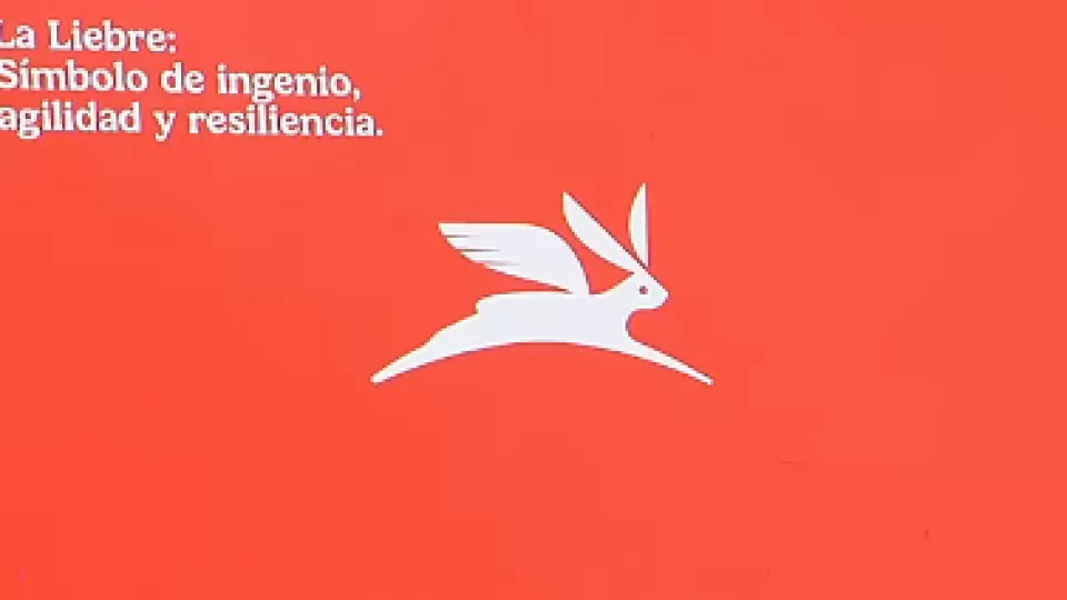 Logo Olinia