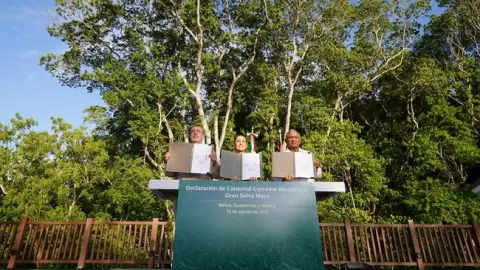 México, Guatemala y Belice crean el Corredor Biocultural de la Gran Selva Maya, el más grande del mundo en su tipo