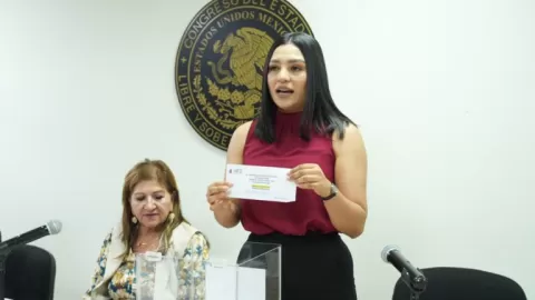 Diputadas y diputados eligen a las y los jóvenes que serán galardonados con el Premio al Mérito Juvenil 2025