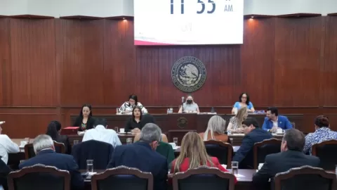 Congreso del Estado declara formal reforma constitucional que protege animales