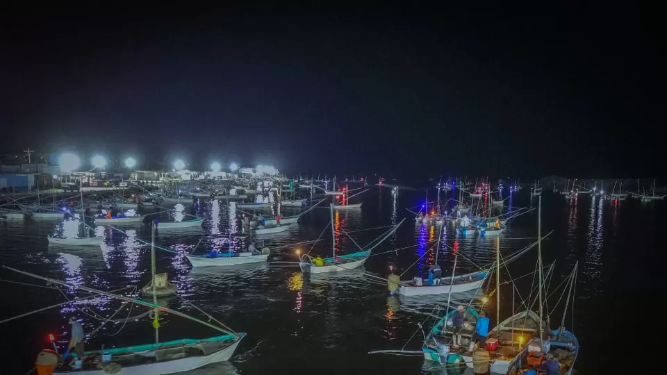 Arranca oficialmente la temporada de captura de camarón en Sinaloa 2025-2026