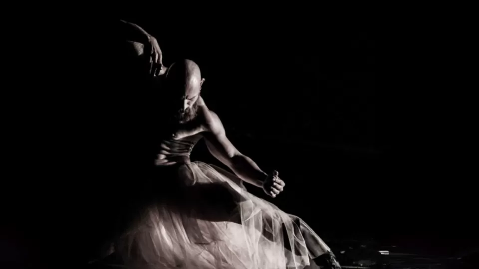 Seleccionan las 10 propuestas escénicas que participarán en el Festival Cultural