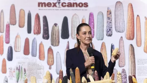 En el Día Nacional del Maíz, Presidenta anuncia programa “Sin maíz no hay País”