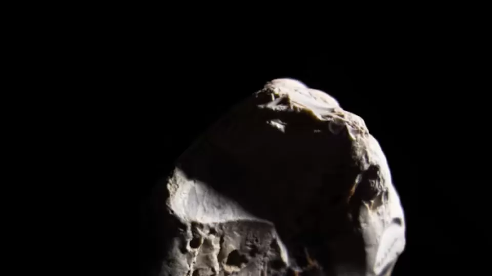 Hito cósmico: datos de la NASA confirman agua en asteroides cercanos, clave para el origen de la Tierra