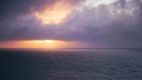 Hallazgo sin precedentes: nueva especie marina desafía las profundidades del atlántico