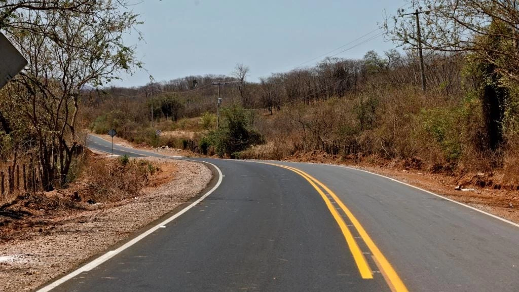 Sinaloa: el éxodo silencioso de miles, la "otra guerra" por violencia interna