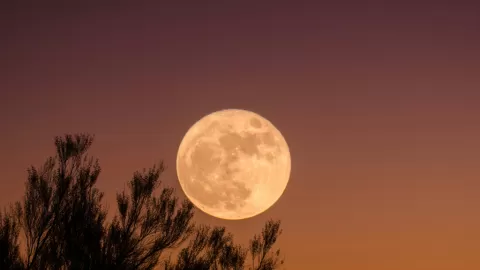 Superluna ilumina Sinaloa en miércoles de intenso calor y vientos: un fenómeno meteorológico único