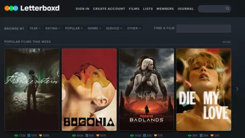 Letterboxd Estrena Plataforma VOD: 'Video Store' Curará Joyas Ocultas y Cine de Festival para 20 Millones de Usuarios